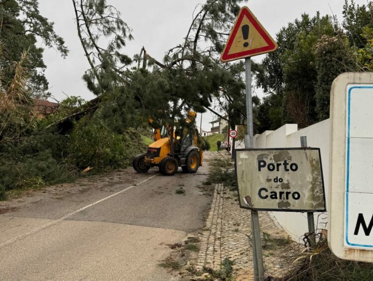 Porto de Mós contabiliza quase 13 ME de danos provocados pelo temporal