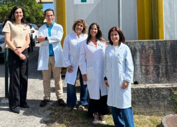 ULS do Oeste lança projecto piloto de reconciliação da medicação na Urgência das Caldas da Rainha