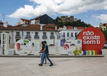 Quatro sementes para o futuro: Leiria divulga escolhas vencedoras do Orçamento Participativo 2025