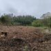 Proprietários florestais de Pombal têm até 18 de Setembro para pedir apoio de 1.500 euros por hectare