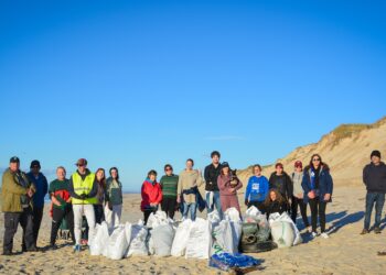Voluntários retiram 255 quilos de lixo da Praia do Samouco