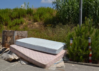 Porto de Mós apela ao uso correcto  do serviço de recolha de monos