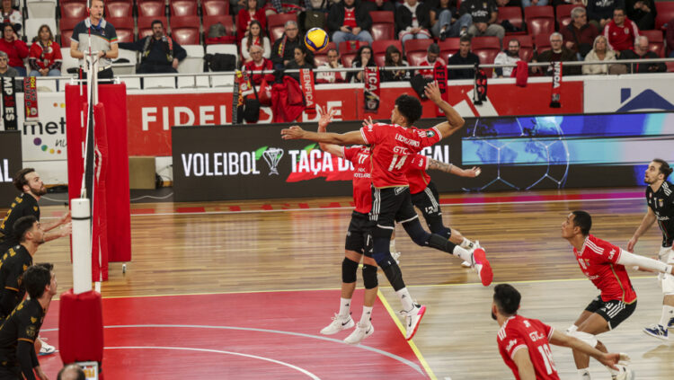 Benfica e São Mamede disputam jogo de voleibol solidário em Leiria