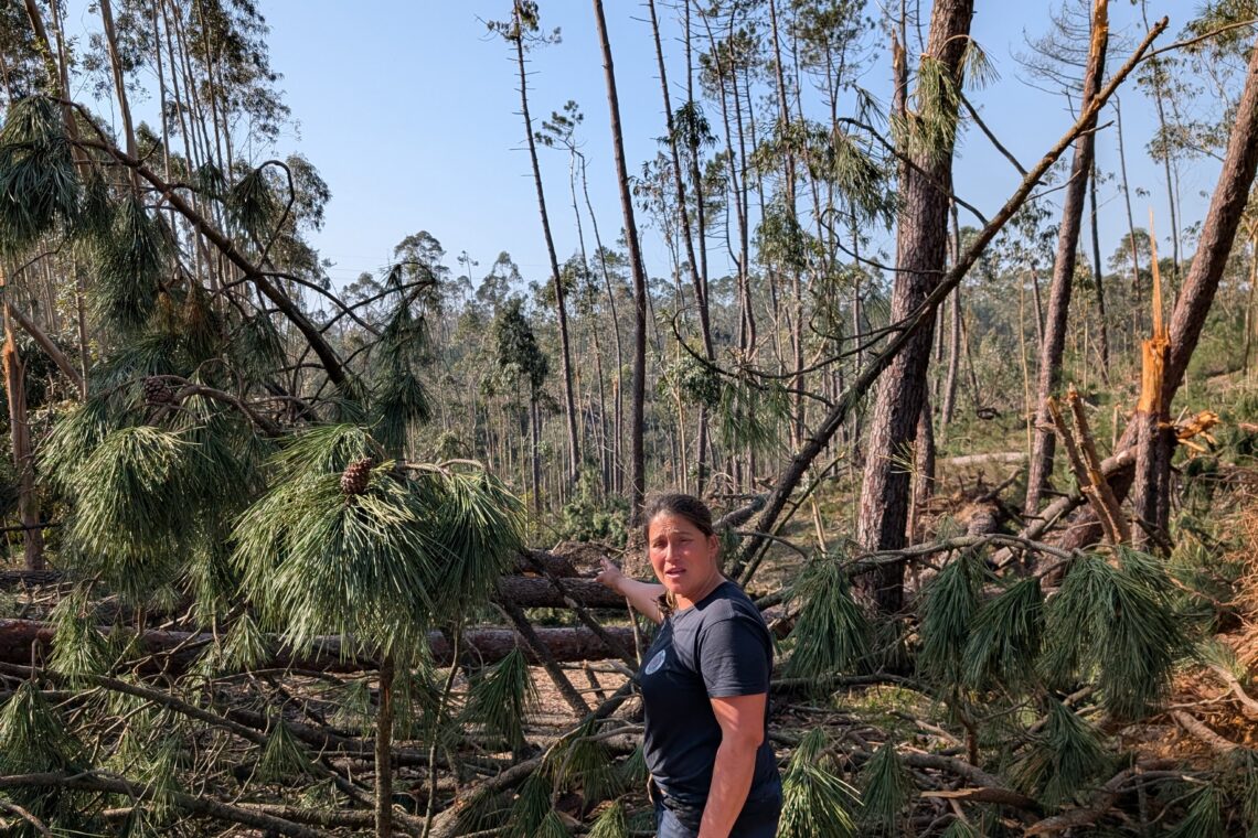 “Se não mandarem a maquinaria pesada, vamos ter aqui uma Kristin florestal”