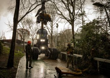 Militares da Marinha apoiam região de Leiria