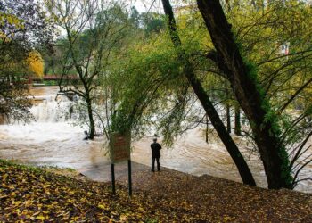 Protecção Civil de Leiria regista 18 ocorrências à passagem da depressão Ingrid