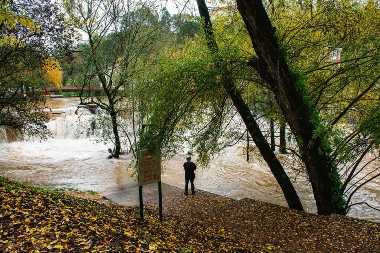 Protecção Civil de Leiria regista 18 ocorrências à passagem da depressão Ingrid