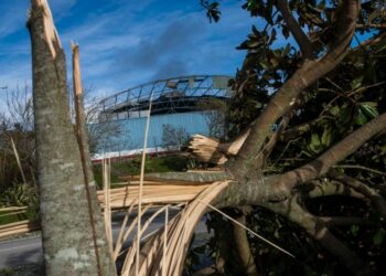 Mercado provisório da Marinha Grande voltará a tenda no final de Agosto