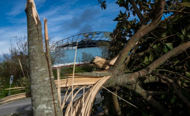 Mercado provisório da Marinha Grande voltará a tenda no final de Agosto
