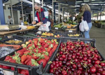 Há mais jovens a aparecer nos mercados locais e a cultivar a própria horta
