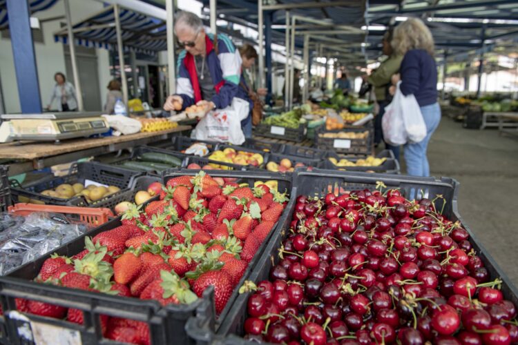 Há mais jovens a aparecer nos mercados locais e a cultivar a própria horta