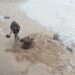 Marinha neutraliza objecto suspeito encontrado na praia de São Pedro de Moel