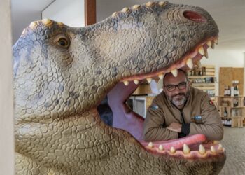 Miguel Reis Silva: “Temos a maior concentração do mundo de ovos de dinossauro por quilómetro quadrado”