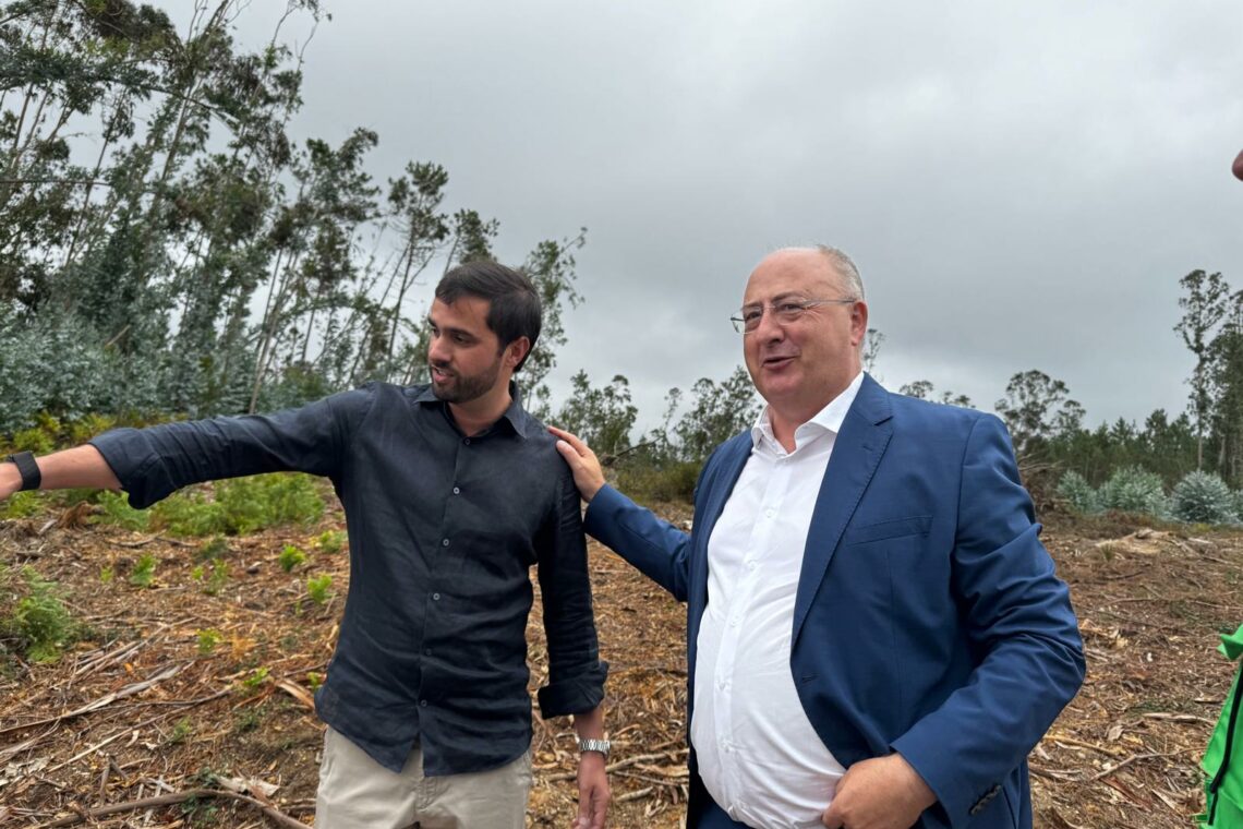Kristin: Retirados 20 mil camiões de madeira das áreas atingidas pelo vento