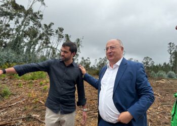 Kristin: Retirados 20 mil camiões de madeira das áreas atingidas pelo vento