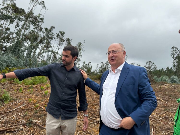 Kristin: Retirados 20 mil camiões de madeira das áreas atingidas pelo vento