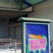 Mercado Bandido: Startup e Flamingo Imbatível a ocupar o vazio