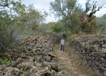Construção de muros em pedra seca no Maciço Calcário de Sicó é Património Cultural Imaterial