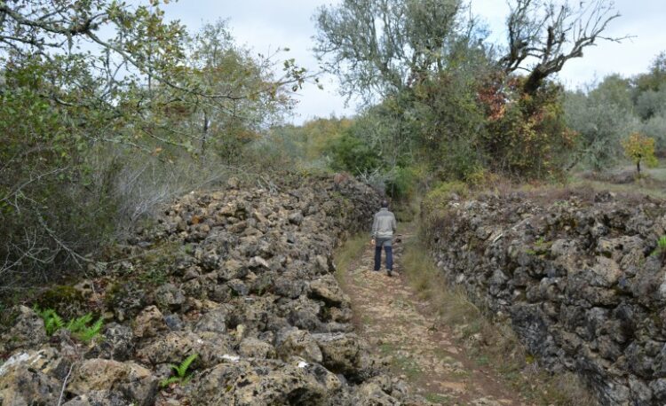 Construção de muros em pedra seca no Maciço Calcário de Sicó é Património Cultural Imaterial