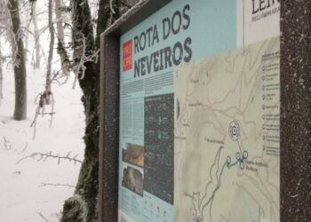 Neve mantém estrada cortada em Castanheira de Pera