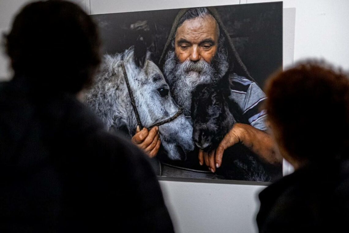 Exposições: A Luz do Meu Lugar