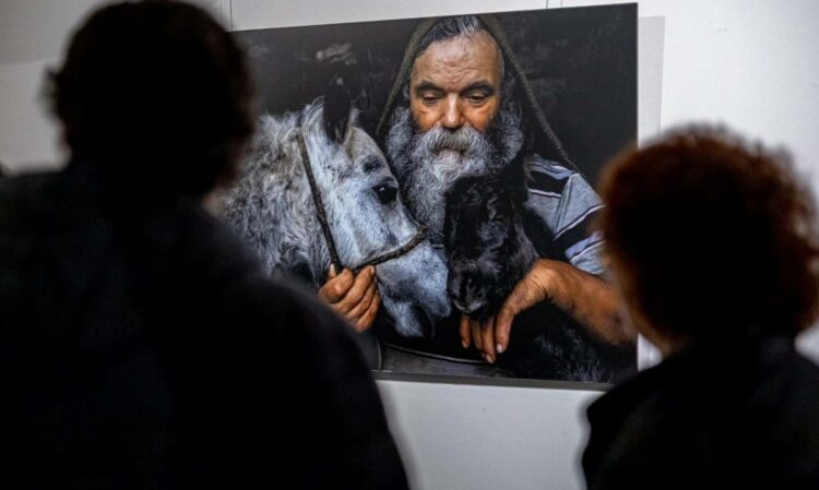 Exposições: A Luz do Meu Lugar
