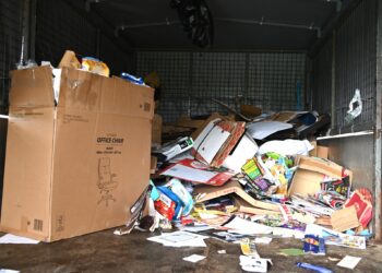 Troca de papel por plantas com recolha recorde em Alcobaça