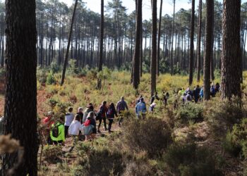 Dia 25 de Janeiro, há “Rota das Eras à Crastinha”, no Pinhal do Rei