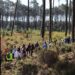 Dia 25 de Janeiro, há “Rota das Eras à Crastinha”, no Pinhal do Rei
