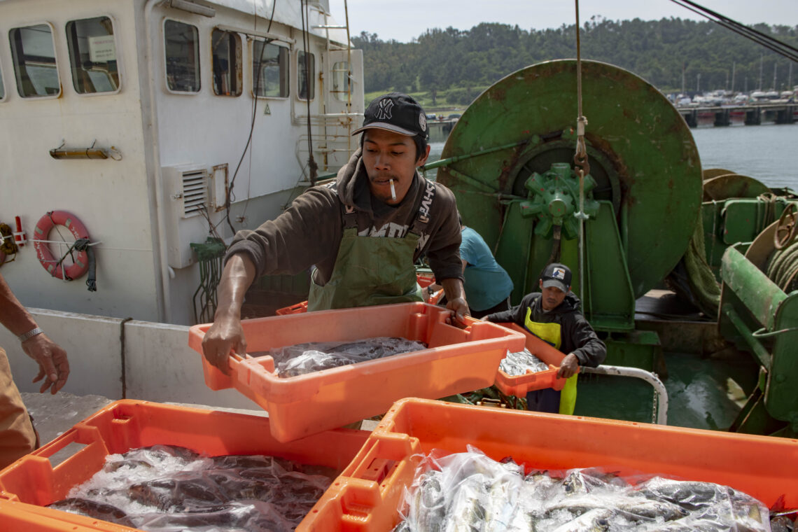 Indonésios são força vital da pesca na nossa costa