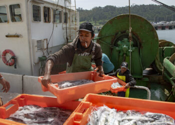 Indonésios são força vital da pesca na nossa costa
