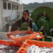 Indonésios são força vital da pesca na nossa costa