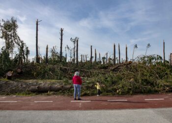 Município de Leiria disponível para gerir área integrada da paisagem