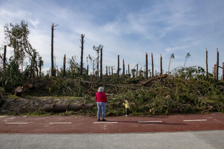 Município de Leiria disponível para gerir área integrada da paisagem