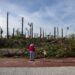 Município de Leiria disponível para gerir área integrada da paisagem