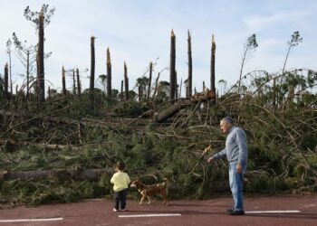 “Íamos ali ver os esquilos, agora não há”. Vizinhos do Pinhal de Leiria e um paraíso perdido