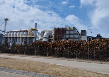 Moradores incomodados com resíduos de pellets em Alcobaça