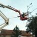 Árvores de Pombal vão aquecer quem precisa no próximo Inverno