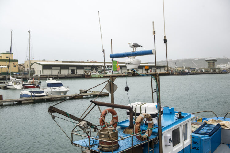 Governo quer investimento no porto da Nazaré complementado com dragagens