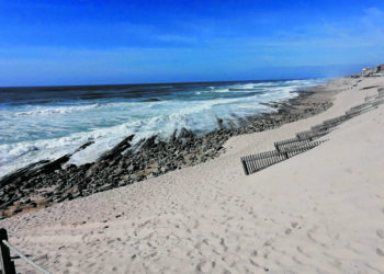 População convidada para acção de limpeza na praia do Pedrógão