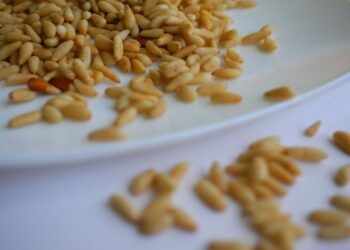 Feira dos Pinhões celebra património natural e cultural de Ansião