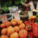 Carne, ovos e leite. Produtos mais caros em 2026 obrigam a gestão “apertada”