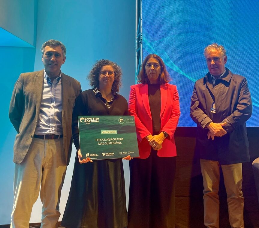 Prémio Inovação Expo Fish Portugal distingue aproveitamento de ovas de ouriços-do-mar e snacks feitos a partir de excedentes de pesca