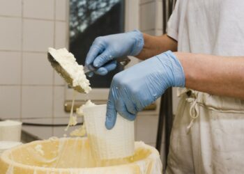 Associação Terras de Sicó reforça valorização dos produtos do território para 2026