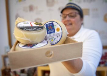 Escasseiam rebanhos para alimentar produção de queijo do Rabaçal