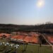 Ténis: Mais de uma centena de atletas no Internacional Junior Leiria