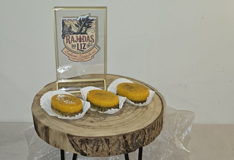 Rajadas do Liz contam história recente de Leiria depois da tempestade