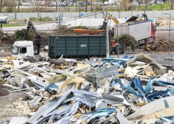 Resíduos da tempestade estão a ganhar nova vida como matéria-prima