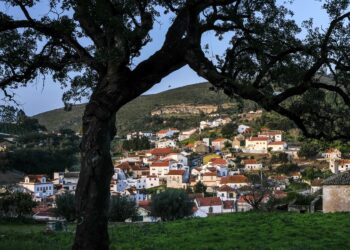 Batalha admite solução municipal para dar acesso à internet nas freguesias