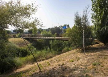 Parque verde de Leiria: níveis de poluição “preocupantes” no rio Lena